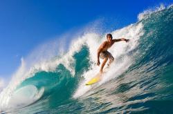 开云APP-马克西冠军级表现引爆全场，火箭队强势制霸上海队