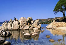 开云APP-天津泰达近期表现火热，期待下一场对决