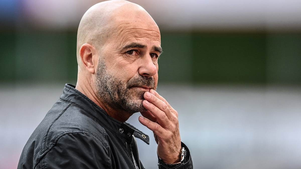 勒沃库森完胜荷兰,厄德高打破历史纪录的简单介绍 勒沃库森完胜荷兰,厄德高打破历史纪录的简单介绍