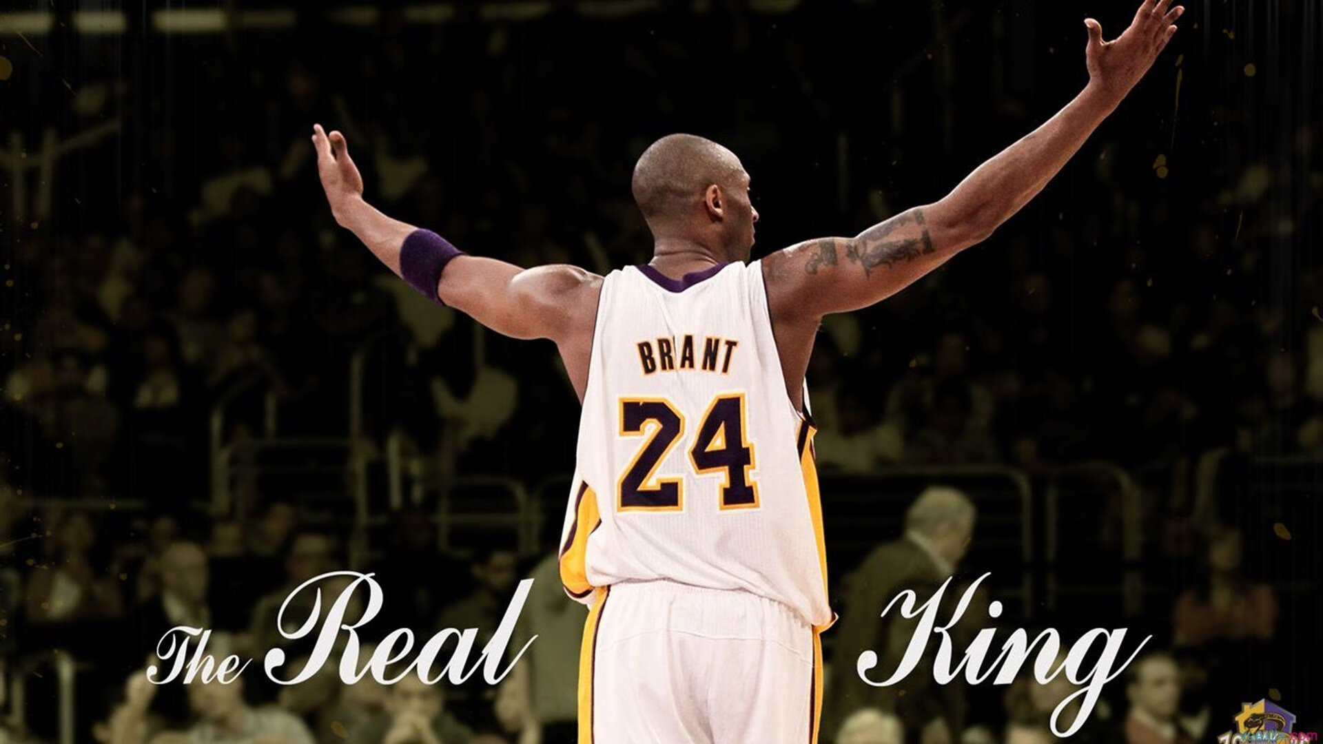 羽球之巅的冰与火，郑思维如手术刀般切割法国队的夜晚